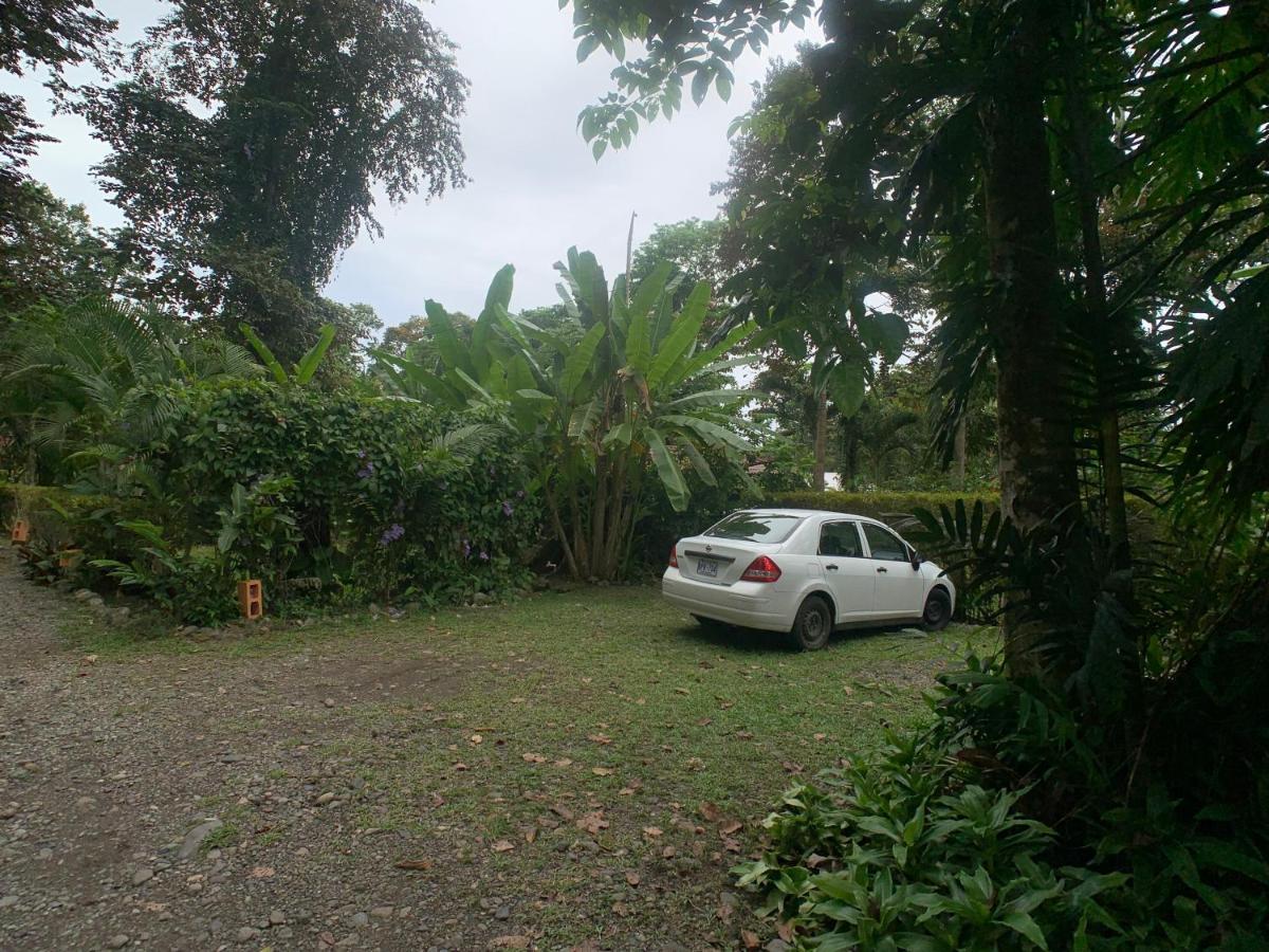 Luna Caribena Village Puerto Viejo de Talamanca Exterior photo