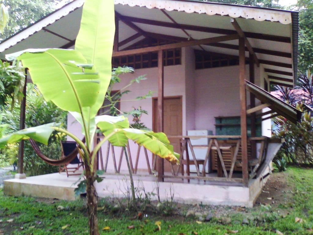 Luna Caribena Village Puerto Viejo de Talamanca Exterior photo