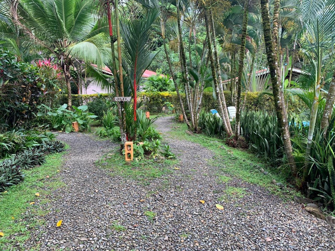 Luna Caribena Village Puerto Viejo de Talamanca Exterior photo