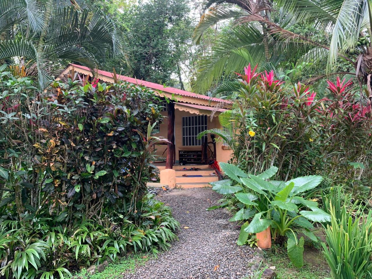 Luna Caribena Village Puerto Viejo de Talamanca Exterior photo
