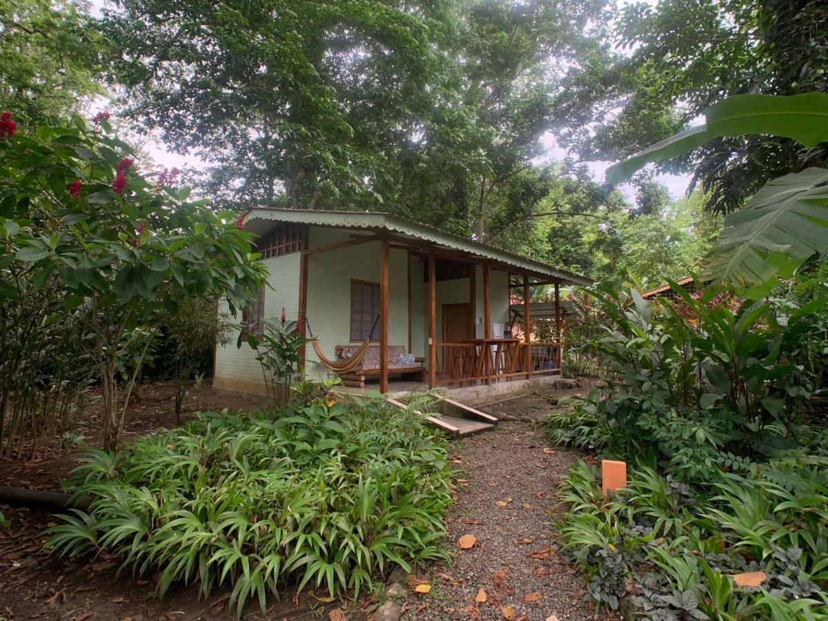 Luna Caribena Village Puerto Viejo de Talamanca Exterior photo
